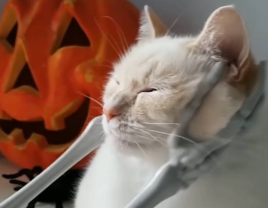 841