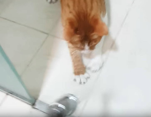 178