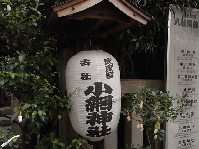 RIMG7928