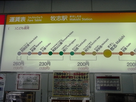 RIMG0557