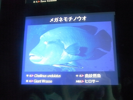 RIMG0378