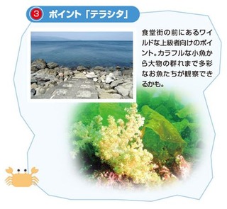snorkel3
