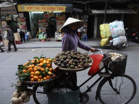 viet0615