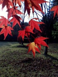 P2013_1116_144606