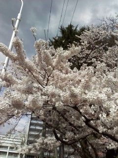 P2014_0422_142139