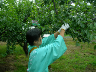 2010ǯÇߤ⤮ 001