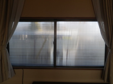 IMGP0516