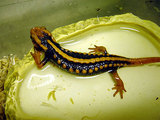 9d688b56.jpg