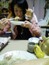 61ed9990.jpg