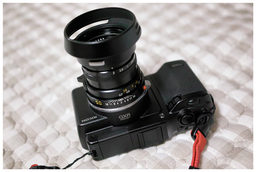 SDIM1067