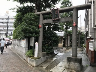 IMG_0308