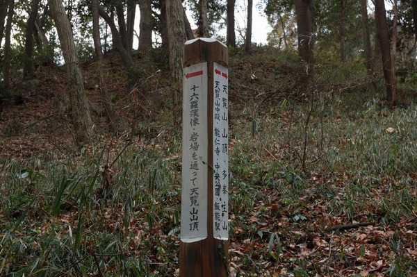 天覧山 中腹 4