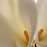 2015-02-07-12-34-44