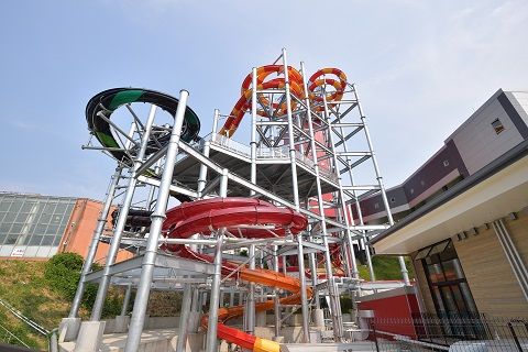 ビッグアロハリサイズ
