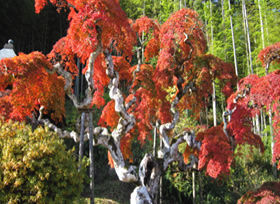 img_plan04_01