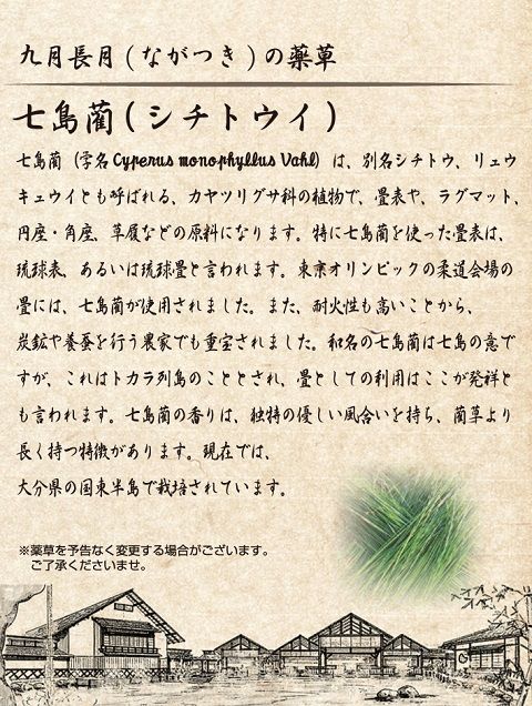 9月薬草蒸し風呂