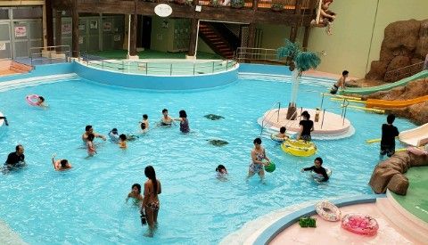 20190225_140234_crop_670x385-480x275