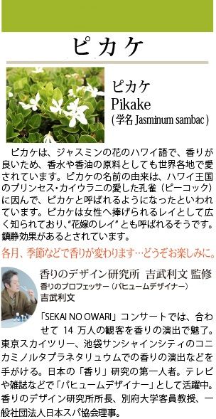 10月アロマ