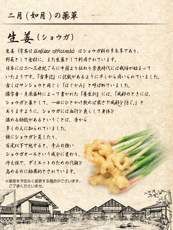 yoichi_img06