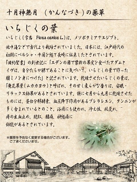 10月薬草蒸し風呂