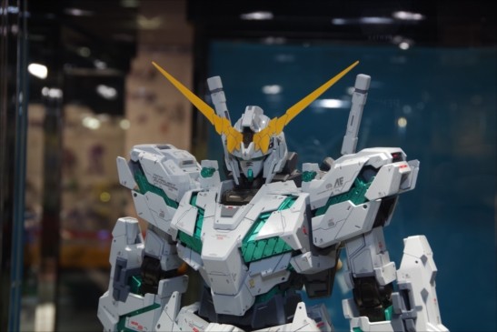 IMGP3449_R