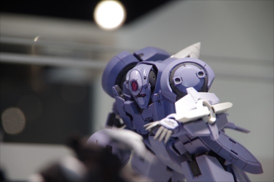IMGP3500_R