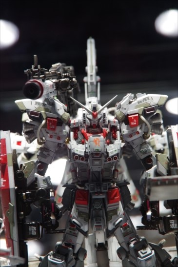 IMGP3278_R