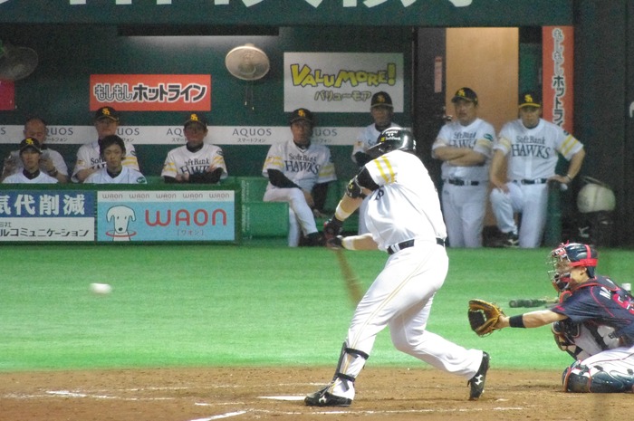 IMGP8187