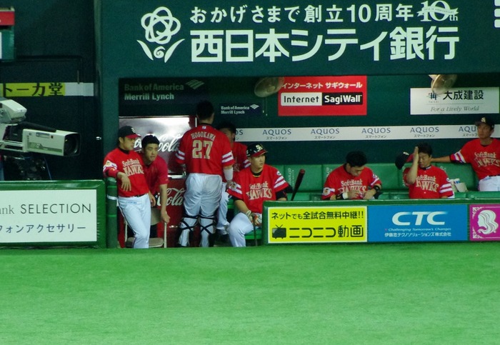 IMGP0804 (1280x883)