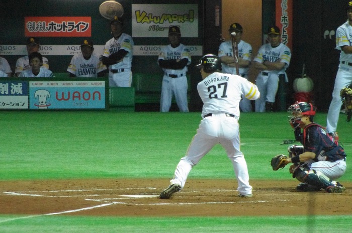 IMGP8133