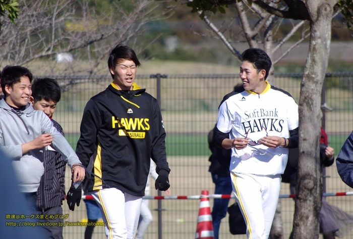IMGP9520 (1280x864)