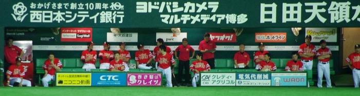 IMGP0647 (1280x342)