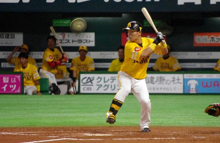 IMGP0910 (1024x669)