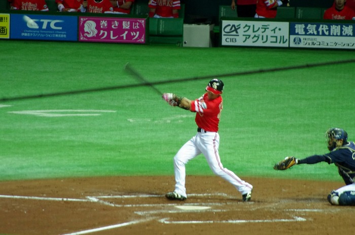 IMGP9251 (1280x850)