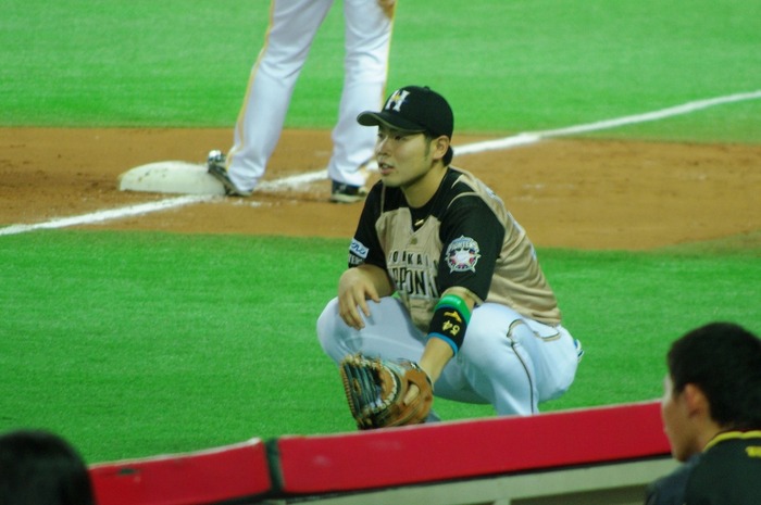 IMGP2951 (1024x680)