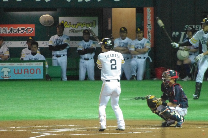 IMGP8068