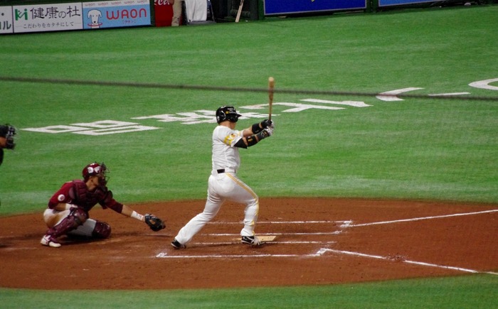 IMGP3390 (1024x636)