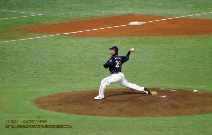 IMGP8400 (1024x656)
