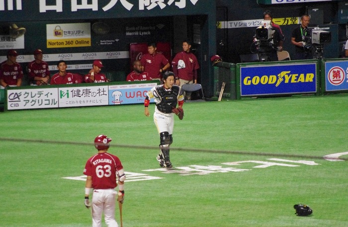 IMGP3442 (1024x668)