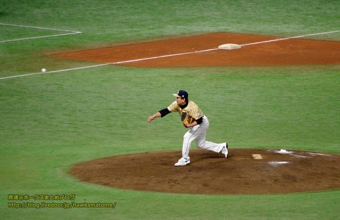 IMGP8770 (1024x662)