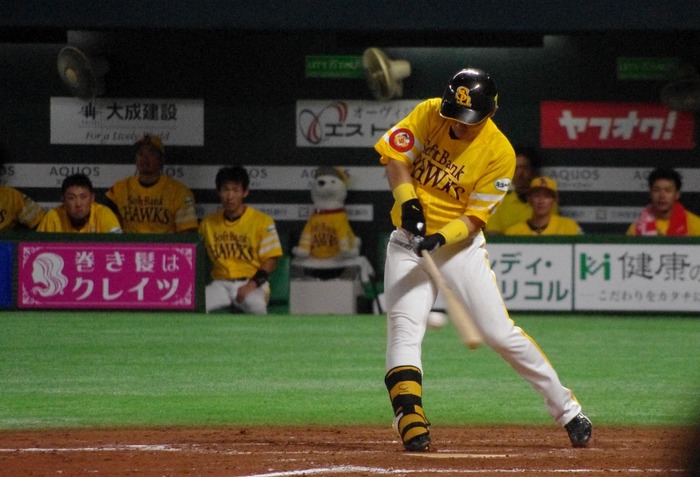 IMGP1245 (1024x698)