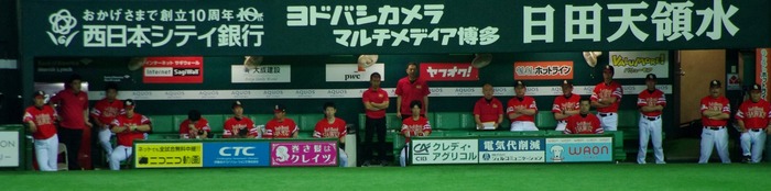 IMGP0815 (1280x319)