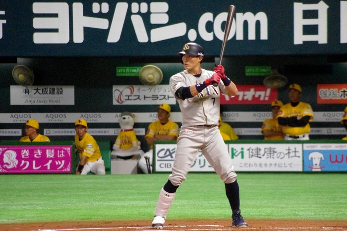 IMGP0813 (1024x682)