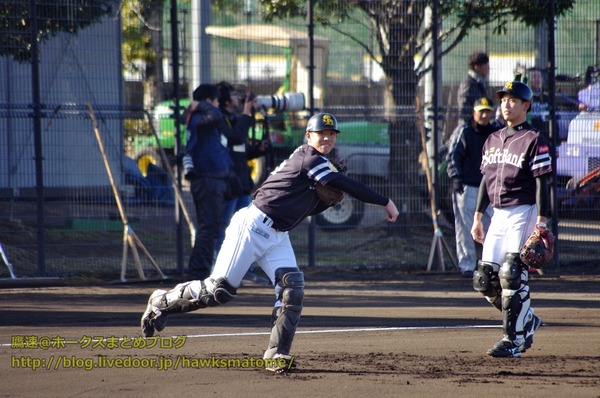IMGP4578 (1280x850)