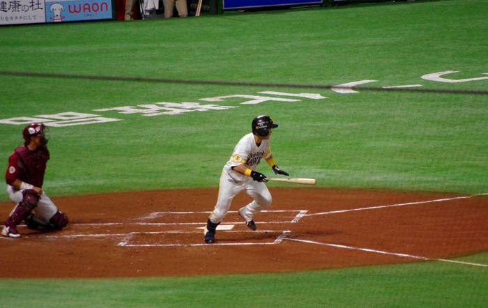 IMGP3118 (1024x646)