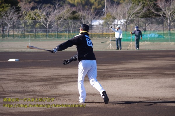 IMGP4547 (1280x850)