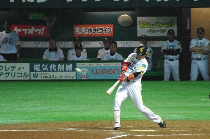 IMGP8279
