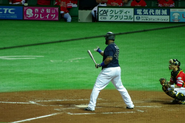 IMGP9319 (1280x850)