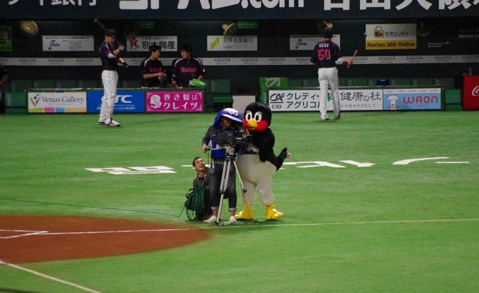 IMGP4780 (1024x628)