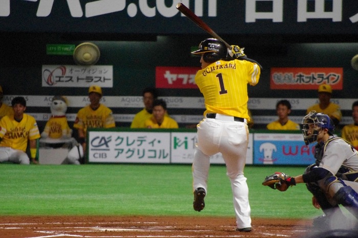 IMGP0854 (1024x682)